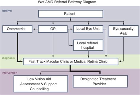 wet amd|wet amd treatment guidelines.